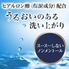 LUCIDO藥用止汗沐浴露 保濕型