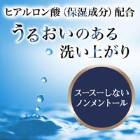 LUCIDO Medicated Deodorant Body Wash (Moisturizing Type)