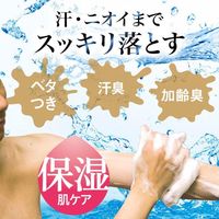 LUCIDO Medicated Deodorant Body Wash (Moisturizing Type)