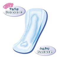 elis New Skin-Friendly Sanitary Pads for Heavy Flow, Night Use (No Wings)