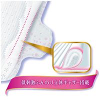 소피 하다오모이 초슬림 낮용(보통날~양 많은 날) 날개형 21cm