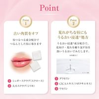 멘솔레담 립 리페어 원 각질 케어 립밤 3.6g