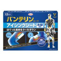 Vantelin Kowa專用糖霜紙（12 張）