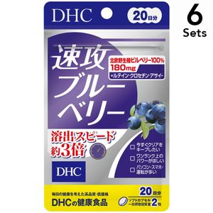 【6個セット】DHC 速攻ブルーベリーエキス 20日分 40粒