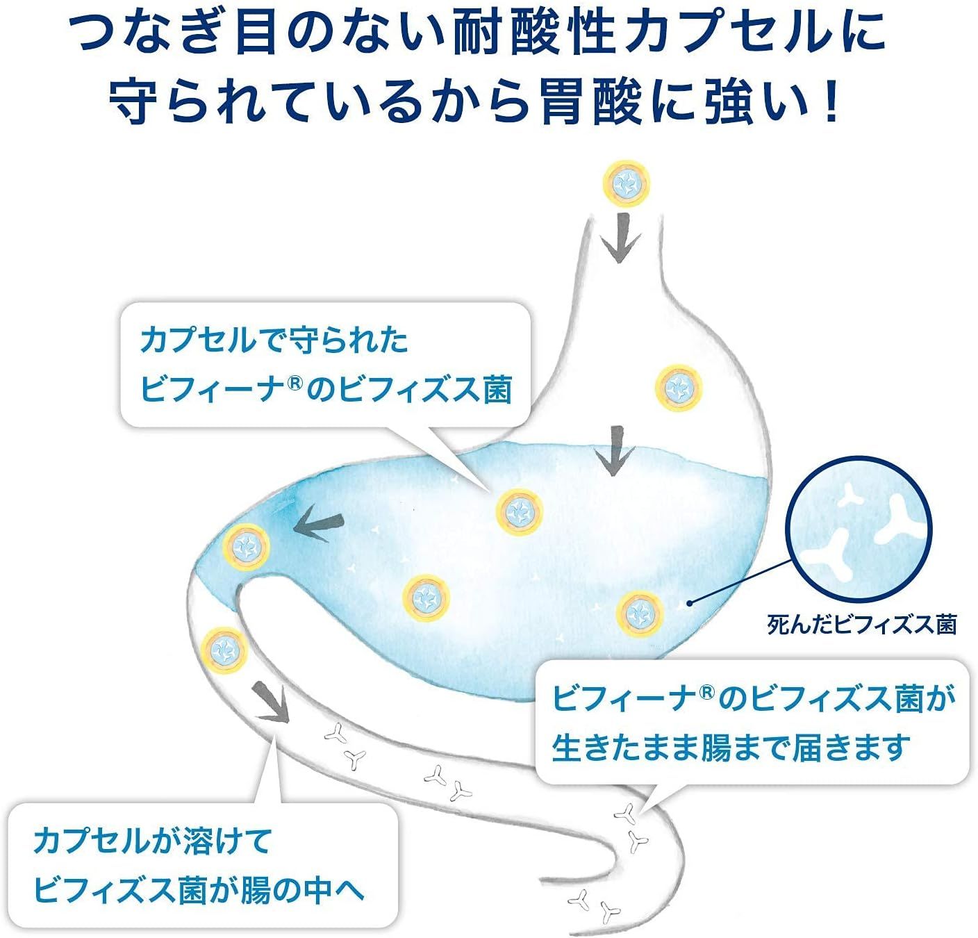 Morishita Nintan Health Aid Biffina EX (Excellent) 60 days (60 bags)