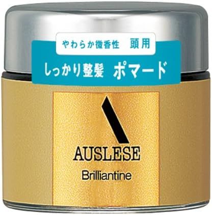 資生堂 アウスレーゼ ブリランチンN 80g