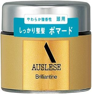 Shiseido Auslese Burentine N 80g
