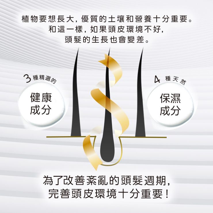 [3套] MRE深處，頭髮精華60ml