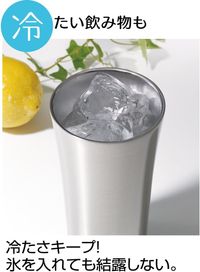 스케이터 보온 보냉 스테인리스 텀블러 300ml 포켓몬 STB3N-A