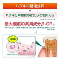 GUM HAGUKI LABO Medicated Toothpaste (Dental Paste), Natural Herb Mint