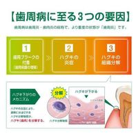 GUM HAGUKI LABO Medicated Toothpaste (Dental Paste), Natural Herb Mint