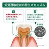GUM Gum & Tooth Sensitivity Lab Dental Paste Medicinal Toothpaste Refresh Citrus