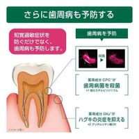 GUM 牙齦與牙齒敏感實驗室牙膏藥用牙膏溫和草藥