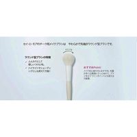 Ishihara Shoten Sei et moi Blush Brush ISP-Sei02
