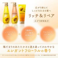 Dear Beaute 油感潤澤修護護髮素 Rich & Repair 按壓瓶