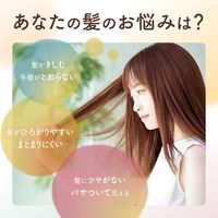 เดียร์ บิวเต้ ออยล์-อิน คอนดิชันเนอร์ (สมูท แอนด์ รีแพร์) ปั๊ม
