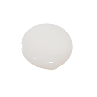 Spa Treatment R Milk 100 mL