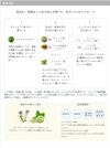 Ayura Rhythm 浓缩液 α（精华液）40ml