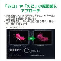 선스타 GUM 메디컬 드롭 허브 민트 원인균을 살균·소독 입 냄새 목 통증 목 붓기 목 불쾌감 휴대용 여행용