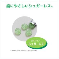 선스타 GUM 메디컬 드롭 허브 민트 원인균을 살균·소독 입 냄새 목 통증 목 붓기 목 불쾌감 휴대용 여행용
