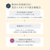 Released July 21, 2023 Snow Beauty Brightening Skincare Powder (Refill) — Finishing Face Powder, Floral Aroma, 25 g (refill pack)