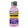 약용 리스테린 토탈케어 플러스 100mL