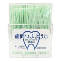 歯間つまようじ ブラッシュピックス 360本