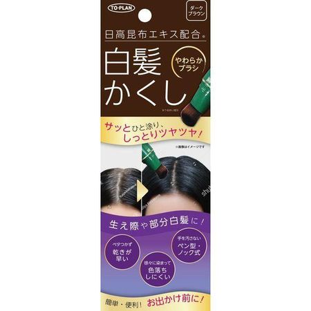 東京企劃販賣Toplan Hidaka 白髮遮瑕膏