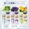 Ora2 Premium Stain Clear Paste Aromatic Mint