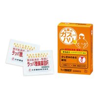 大幸薬品 ラッパ整腸薬ＢＦ 24包