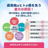 サラヤ クルクリン PGガード デンタルペースト ペパーミントの香味