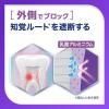 Earth Chemical Medicinal Shumitect Platinum Protect EX Clear Mint