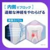 Earth Chemical Medicinal Shumitect Platinum Protect EX 清爽薄荷