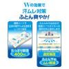 Hakugen Earth Dry & Dry UP Moisture Remover Futon Double Dehumidifying Sheet for Futons and Beds