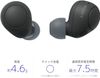 SONY 無線降噪立體聲耳機 WF-C700N B 黑色