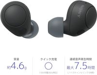 SONY 無線降噪立體聲耳機 WF-C700N B 黑色