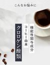 다이어트 커피 슬리모어 커피 Slimore Coffee 기능성 표시 식품 클로로겐산 함유 31회분