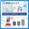 파인 난소화성 덱스트린 이온 드링크 33포 설탕 무첨가 지방 0 비타민C 구연산 스포츠 음료 맛 국내 생산