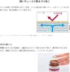 보습 크림 원액 보습 크림 50g TUNEMAKERS(튠메이커스) 세라마이드 크림 아르간 오일 히알루론산