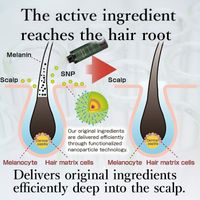 SUNA Scalp Essence Double Black Super Peppermint 100ml