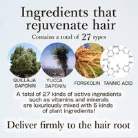 SUNA Scalp Essence Double Black Super Peppermint 100ml