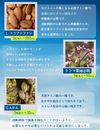 네이처포스 하레 30일분 90정
