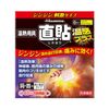 Salonpas Warming Device Direct-Apply Warming Plus S Size 6 Pieces