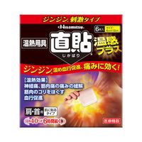 サロンパス温感用具直貼温感ップラスＳサイズ6枚
