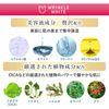 明色化粧品 薬用リンクルホワイト デイ＆ナイト セラム 40mL