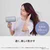 Panasonic Hair Dryer Nanocare EH-NA7M-H