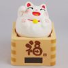Lucky Masu Maneki Neko White RC-18W 白色