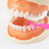 Dental Pro Tom and Jerry Parent and Child Friendly Floss, Ages 3 and up, Pack of 50