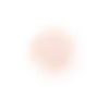 COSME DECORTE 黛珂 散粉 00 20g