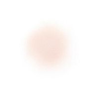 데코르테 루스 파우더 00 20g